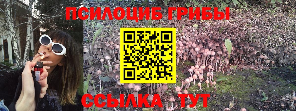 Еманжелинск  Галлюциногенные грибы Psilocybe  Вход с VPN 